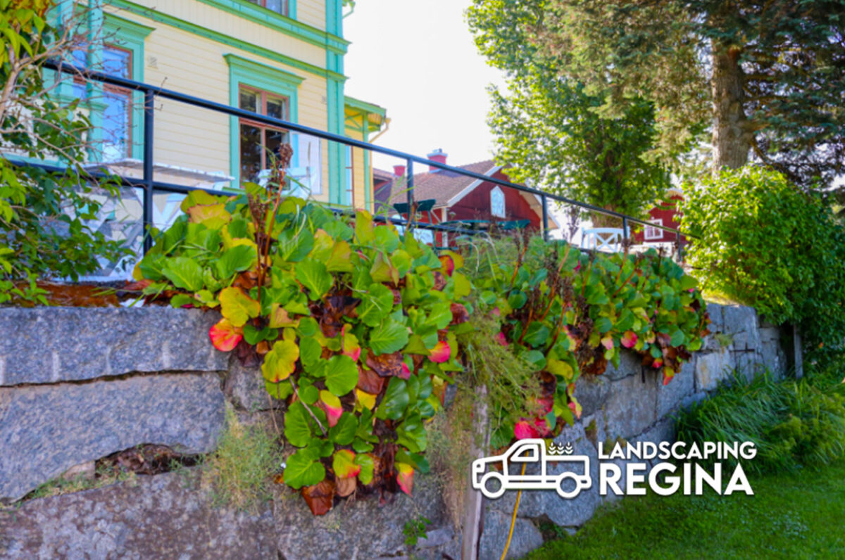 Gas Fireplace Regina Loyal Landscaping Regina Sk