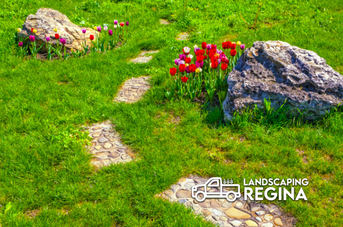 Yard Care Regina Loyal Landscaping Regina Sk
