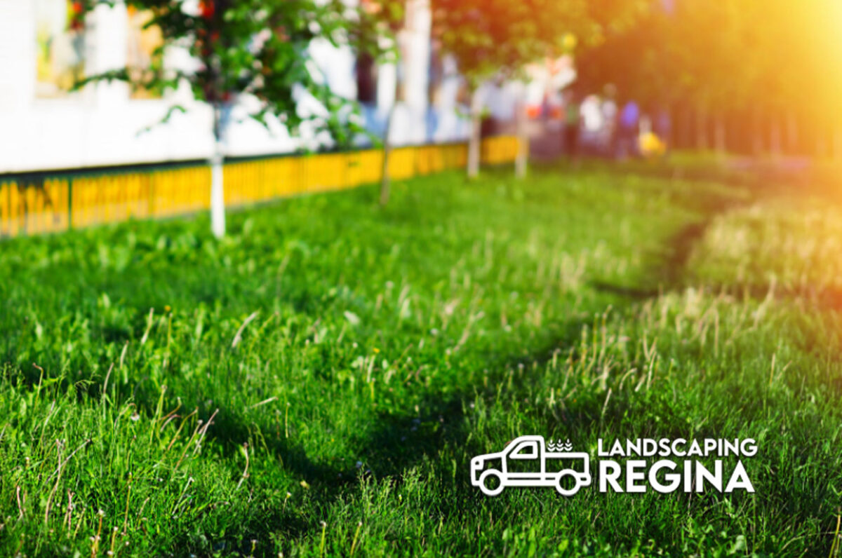 Yard Care Regina Loyal Landscaping Regina Sk